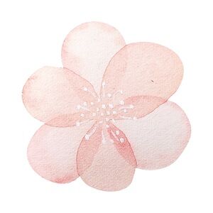 Random Pulls Black Friday Sale